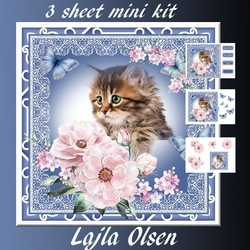 Sweet Cat
