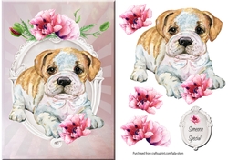 Someone special