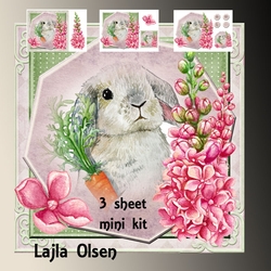 Bunny 4