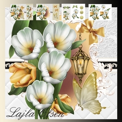 white and yellow tulip