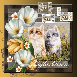 Tulips and cats