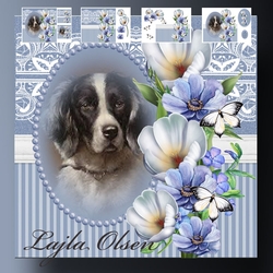 dog and flowers 1