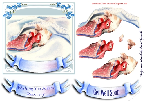Get well Soon Mouse with Hot Water Bottle