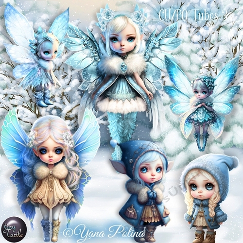 Winter Frost Fairys