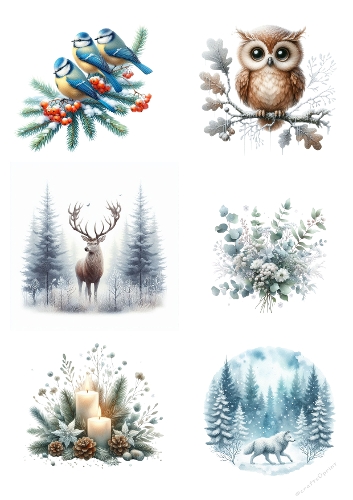 Winter Wonders – A4 Nature & Wildlife Kit