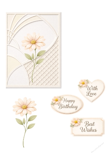 Minimalist Floral Greeting Card with Daisy |