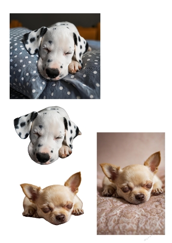 Sleeping Puppies 3D Card Kit – Cute Dalmatian & Chihuahua Decoupage Set