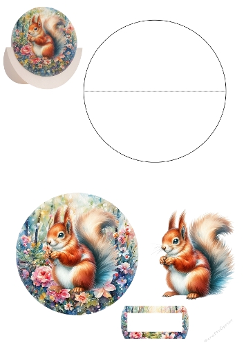Rocket card 3d squirrel