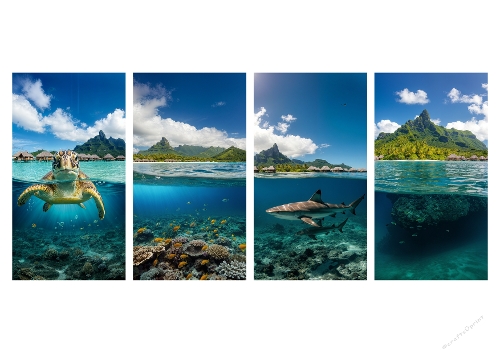 Tropical Paradise Split-View Quadriptych - Sea Turtle & Shark Undersea Kit (Quadriptyque Paradis Tropical Vue Mixte - Kit Tortue de Mer & Requin Sous-Marin)
