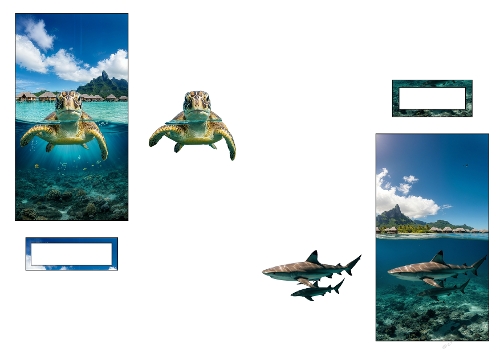 3D Decoupage Card Kit - Tropical Sea Turtle & Reef Shark - 2 Cards Set (Kit 2 Cartes 3D Découpage - Tortue Marine & Requins de Récif)