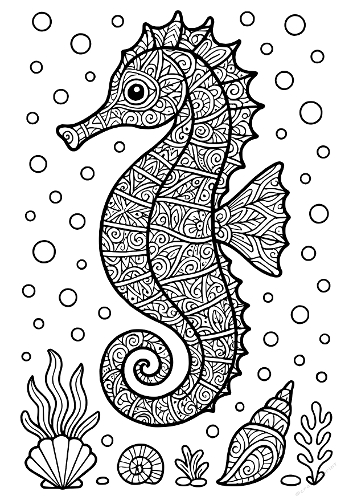 Zentangle Seahorse Coloring Page - Intricate Marine Life Mandala Art (Coloriage Hippocampe Zentangle - Art Mandala Marin Détaillé)