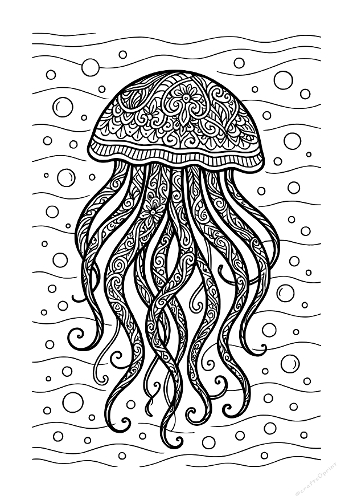 Zentangle Jellyfish Coloring Page - Intricate Sea Life Mandala Art (Coloriage Méduse Zentangle - Art Mandala Vie Marine Détaillé)