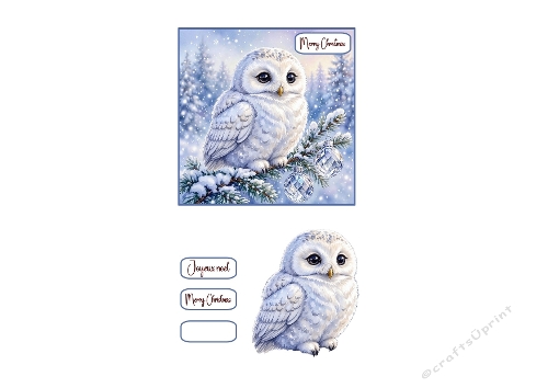 3D Christmas Card – White Owl & Snowy Forest Scene 