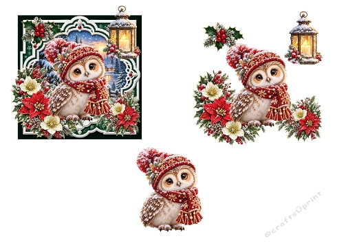 3D Winter Owl Kit – Lantern Glow, Snowy Scene & Holiday Florals