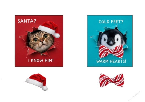 Funny Christmas Cat Santa Penguin Cold Feet 3D Decoupage Card Kit A4 Sheet   
