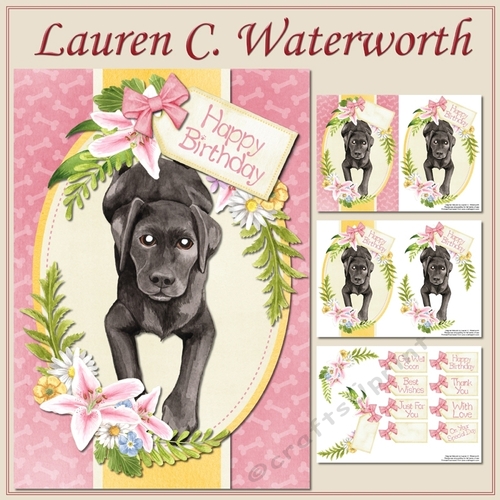 Black Labrador