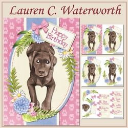 Chocolate Labrador
