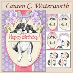 Black and White Spaniel