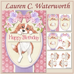 Brown and White Spaniel