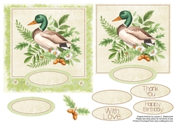 Forest Friends Duck