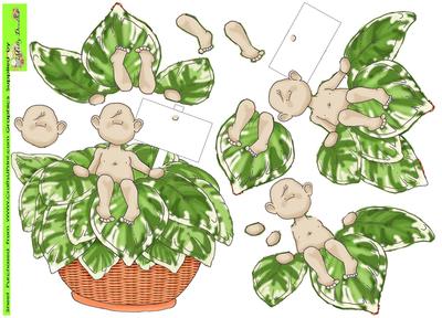 Hosta Baby Doodles