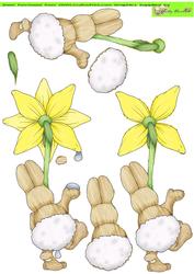 Daffy Bunny Doodles (backside)