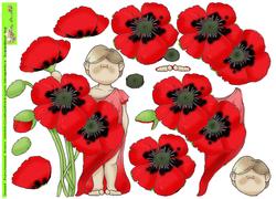 Poppy Doodles