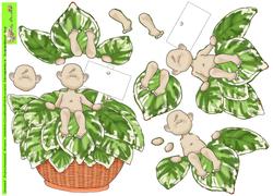 Hosta Baby Doodles