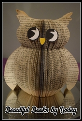 3D Owl
