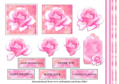 Pink Rose