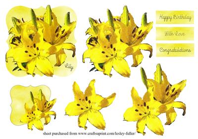 Yellow Lily
