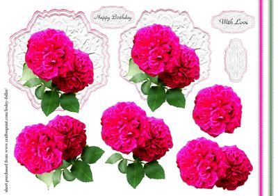 Victoria Roses