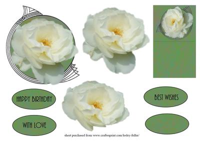 Art Deco White Rose