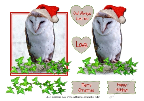 Christmas Barn Owl