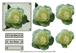 Wedding Rose
