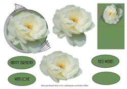 Art Deco White Rose