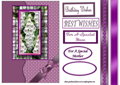 White and Purple Foxgloves