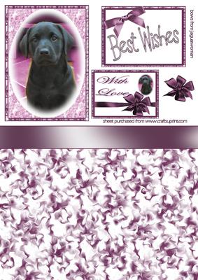 Purple Puppy
