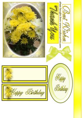 Yellow & White Flowers