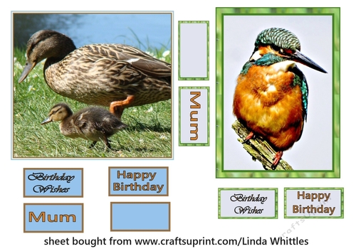 Duck & KIngfisher Toppers