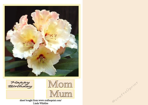 Rhododendron Topper