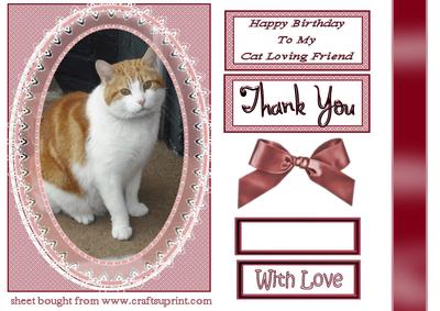 Cat in Oval Frame
