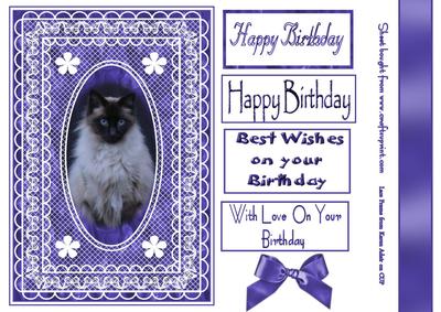 Cat in Lace Frame