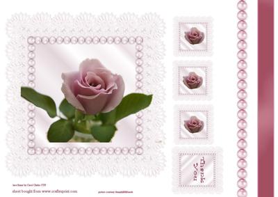 Pink Rose in Lace and Pearl Frame