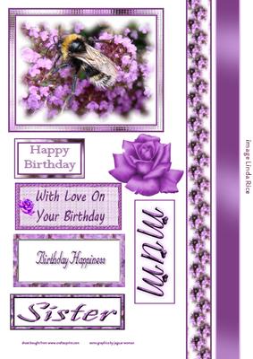 Bee on Purple Flowers