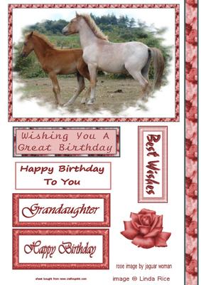 Frolicking Ponies