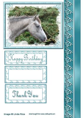 Grey New Forest Pony