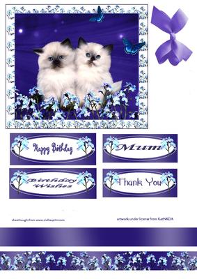 Sweet Little Kittens