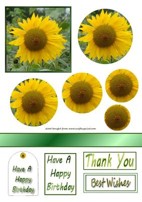 Sunflower Pyramid