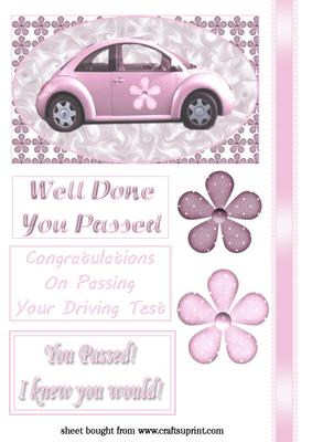 Pink Car - You Passed